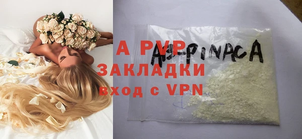 стафф Алексин