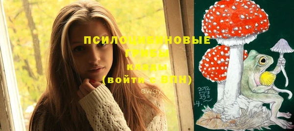 стафф Алексин