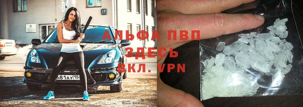 стафф Алексин