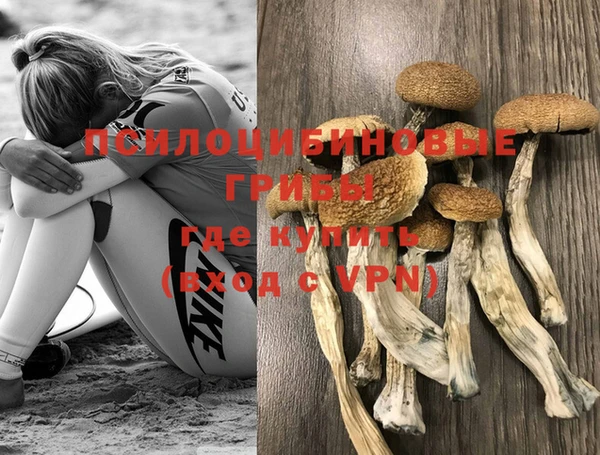 не бодяженный Алзамай