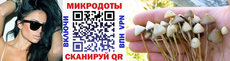 Псилоцибиновые грибы Psilocybine cubensis  Ставрополь 